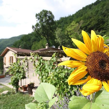 Agriturismo Cà Sonino Bettola (Emilia-Romagna) Exterior foto
