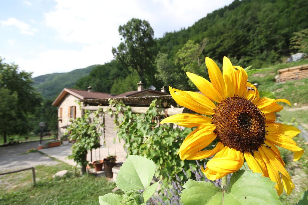 Agriturismo Cà Sonino Bettola (Emilia-Romagna) Exterior foto